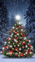 Rozsvěcení Vánočního stromku 1